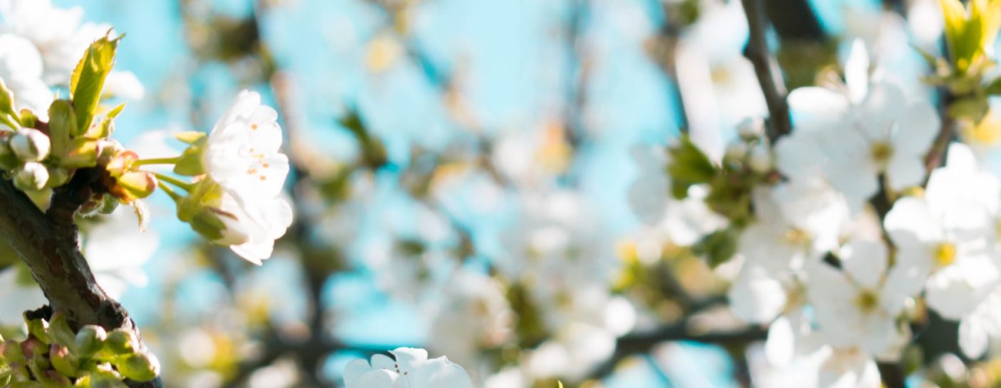 Twelve Great Spiritual Writers