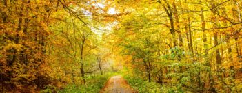 Such a Great Salvation: Session 11