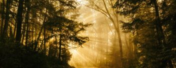 Such a Great Salvation: Session 12