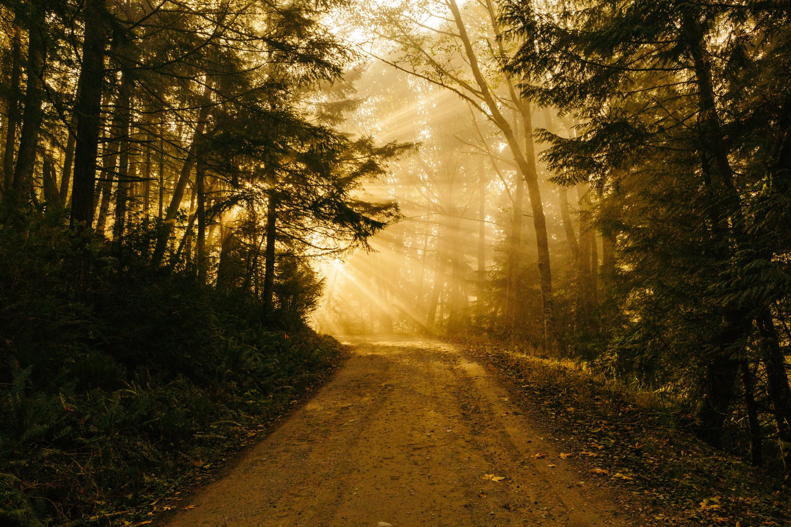 Such a Great Salvation: Session 12