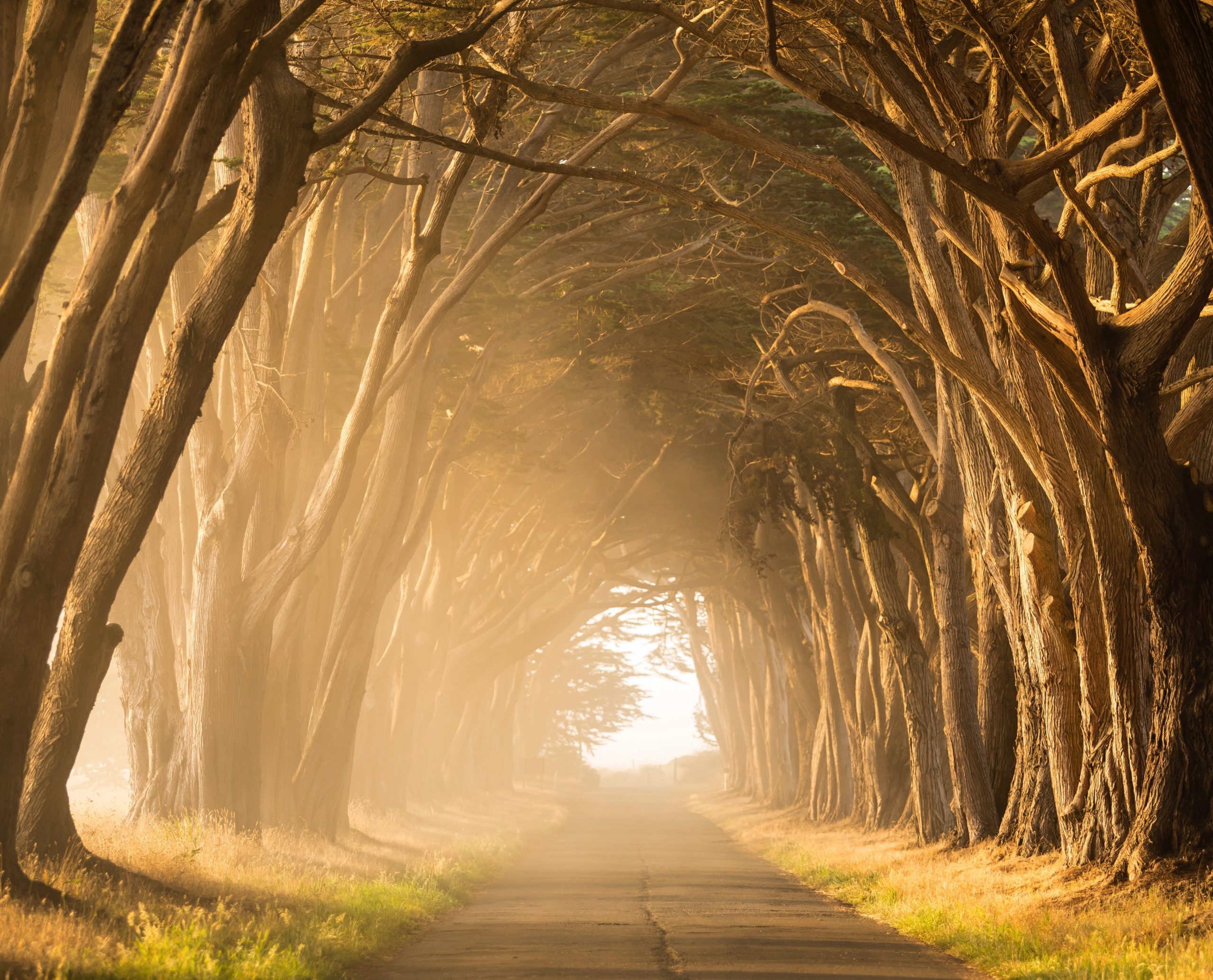 Such a Great Salvation: Session 13