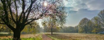 Such a Great Salvation: Session 14