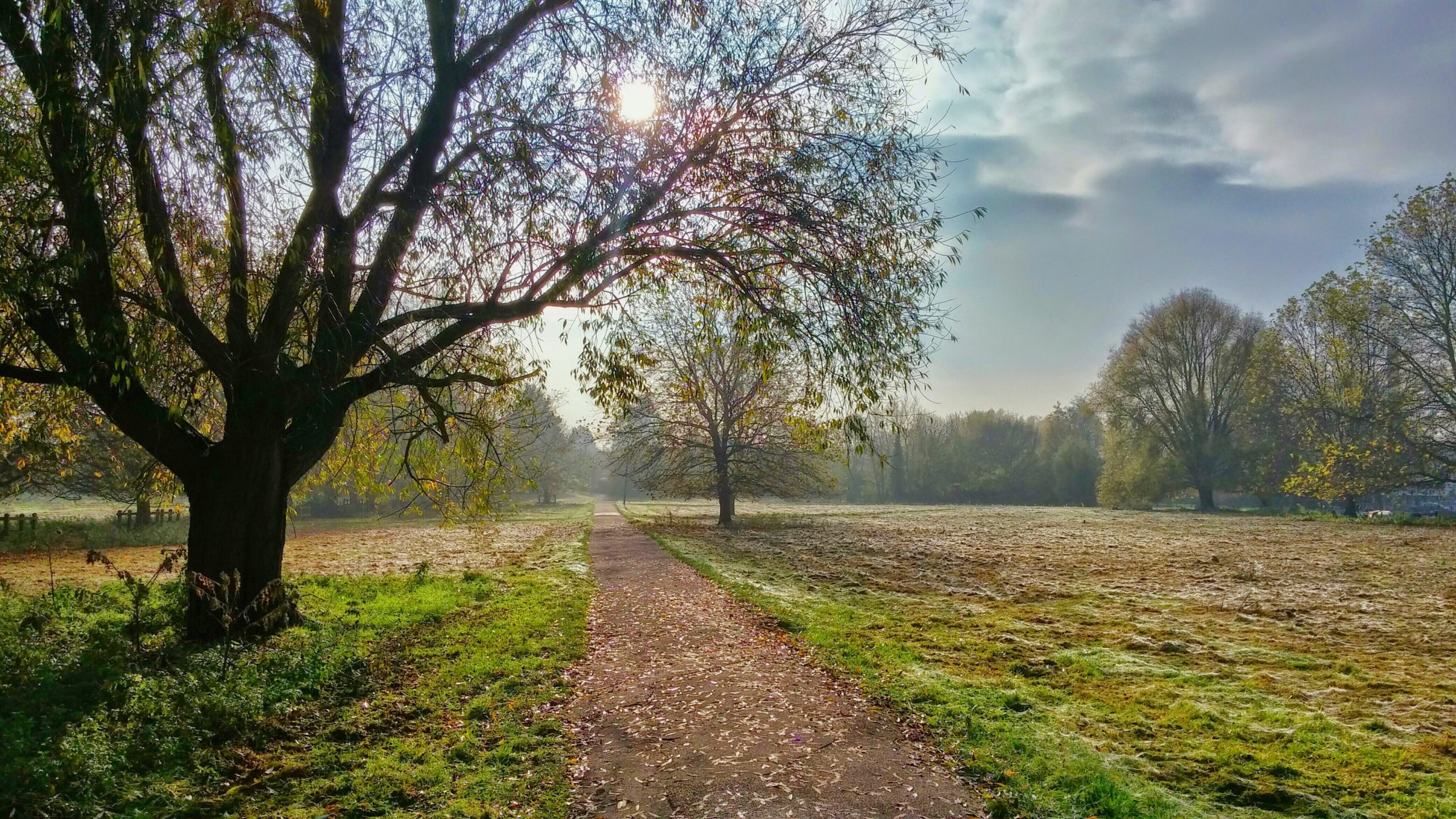 Such a Great Salvation: Session 14