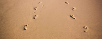 Session 3 – To Respond to Human Need by Loving Service