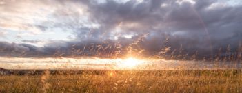 Session 3 – Planet: What does it mean to care for the environment?