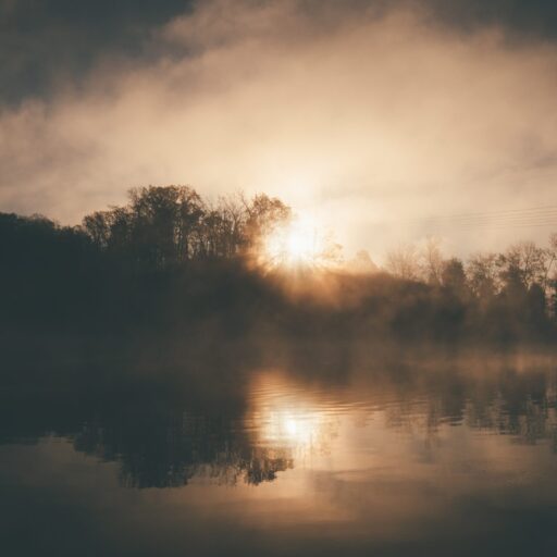 Session 1 – Fear