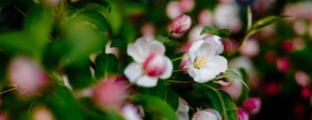 Session 1 – Hope in Uncertainty