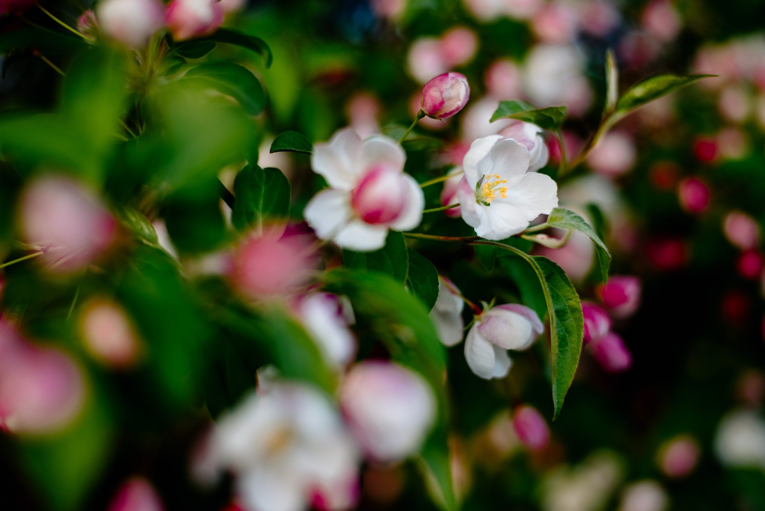 Session 1 – Hope in Uncertainty