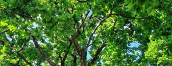 Session 1 – An Introduction to Being ‘Blessed’