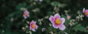 Session 4 – Hope after Easter