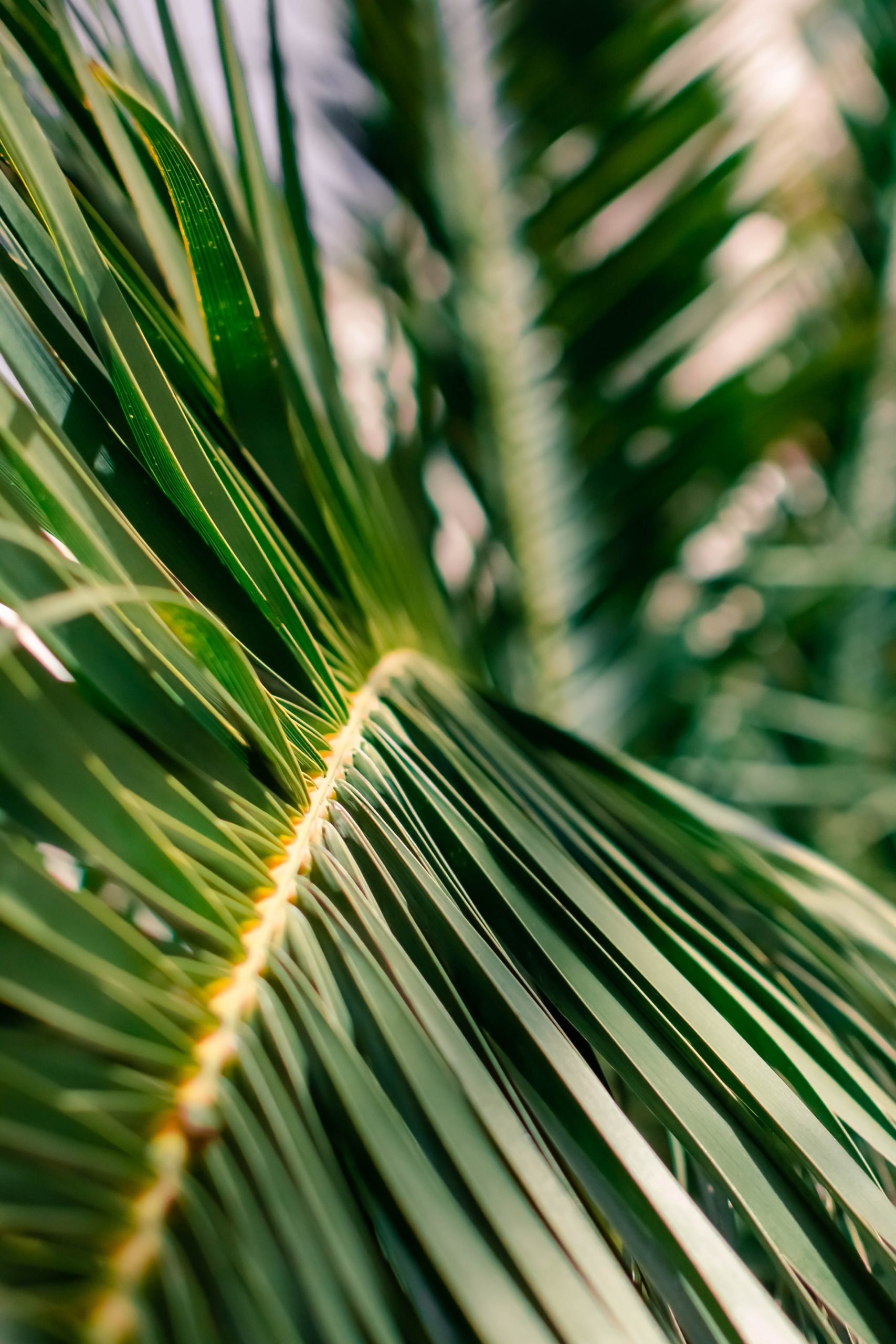 Session 3 – He ate with tax collectors and sinners