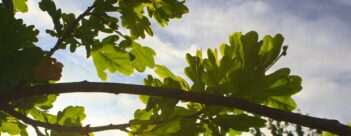 Session 3 – Those Who Mourn – Rejecting False Comfort