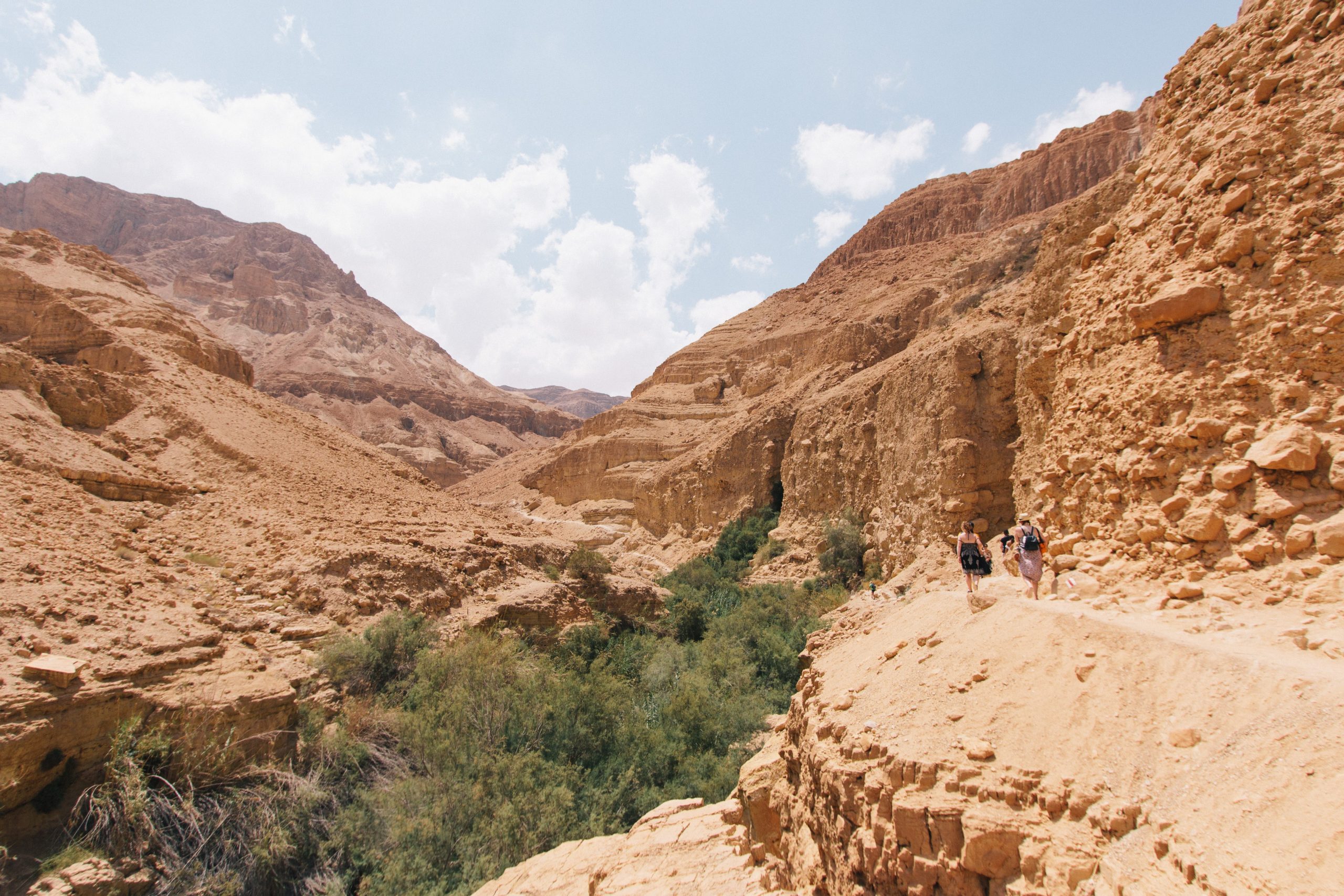 Session 4 – Uzziah