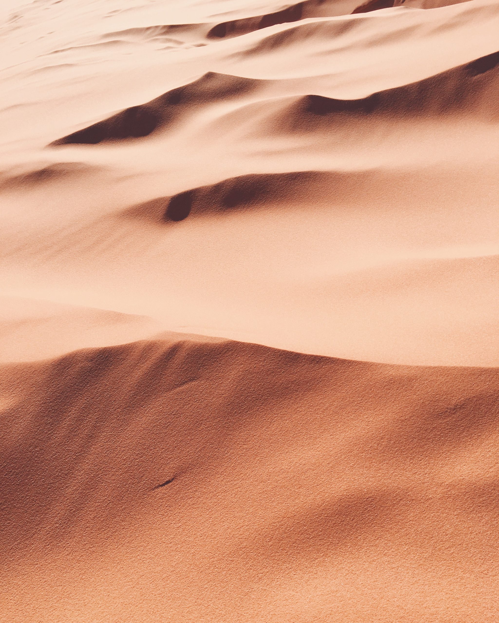 Session 6 – Exodus 11-13