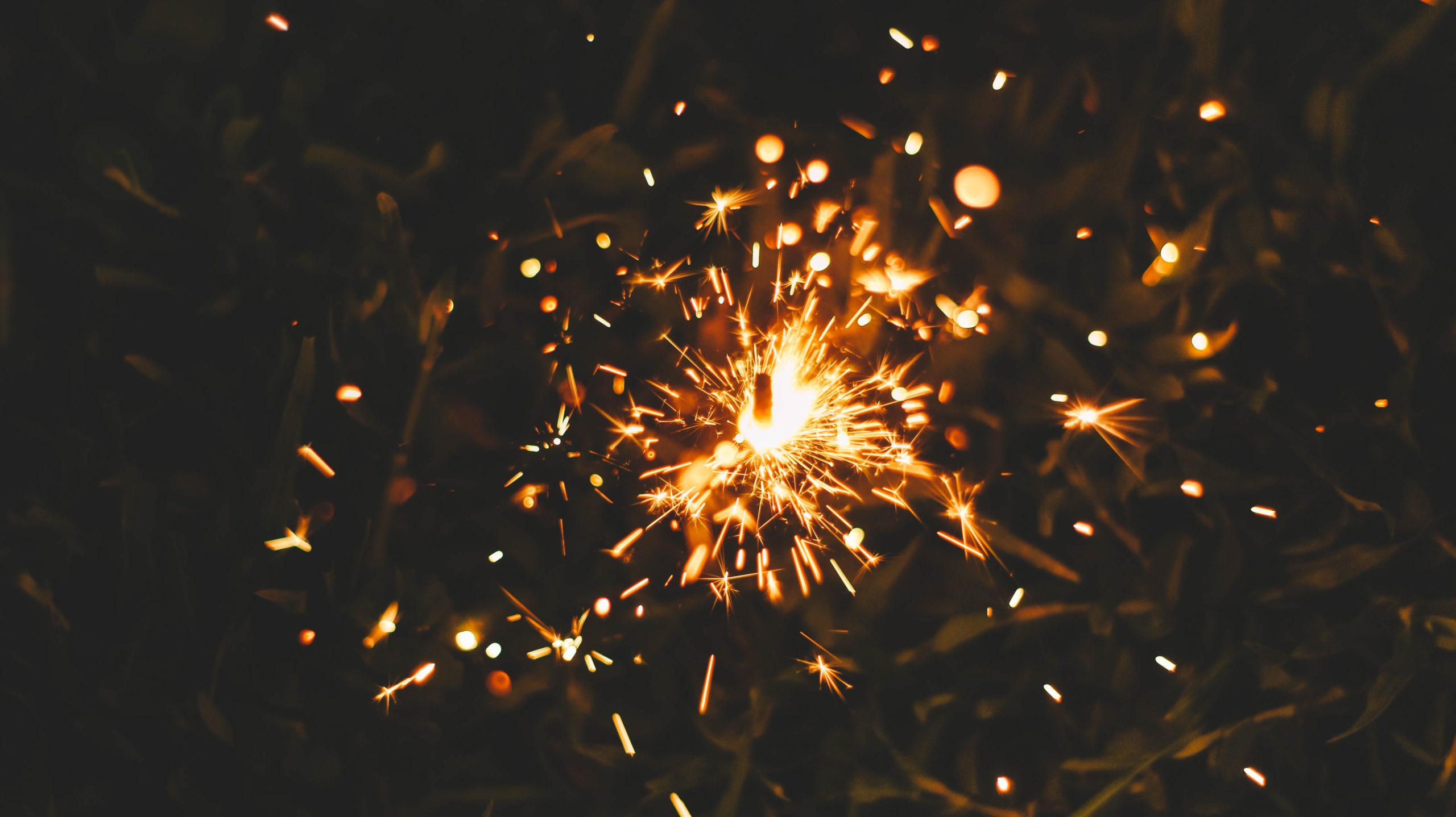 Session 6 – The New Birth