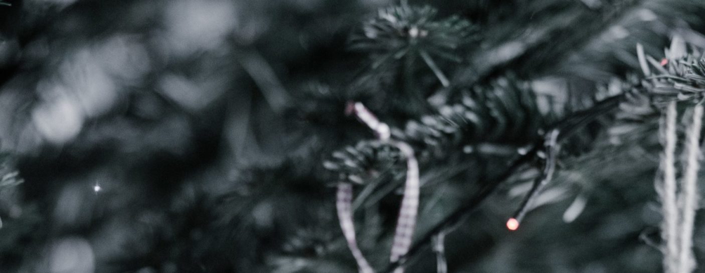 Into the Heart of Advent