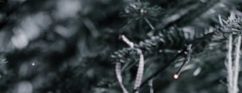 Into the Heart of Advent