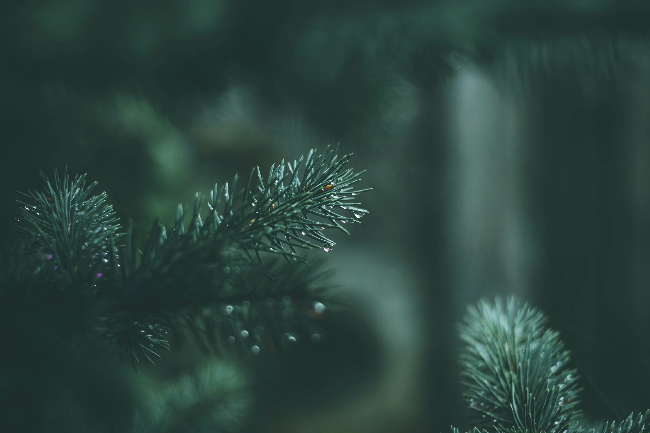 Session 2 – Rejecting God’s gift