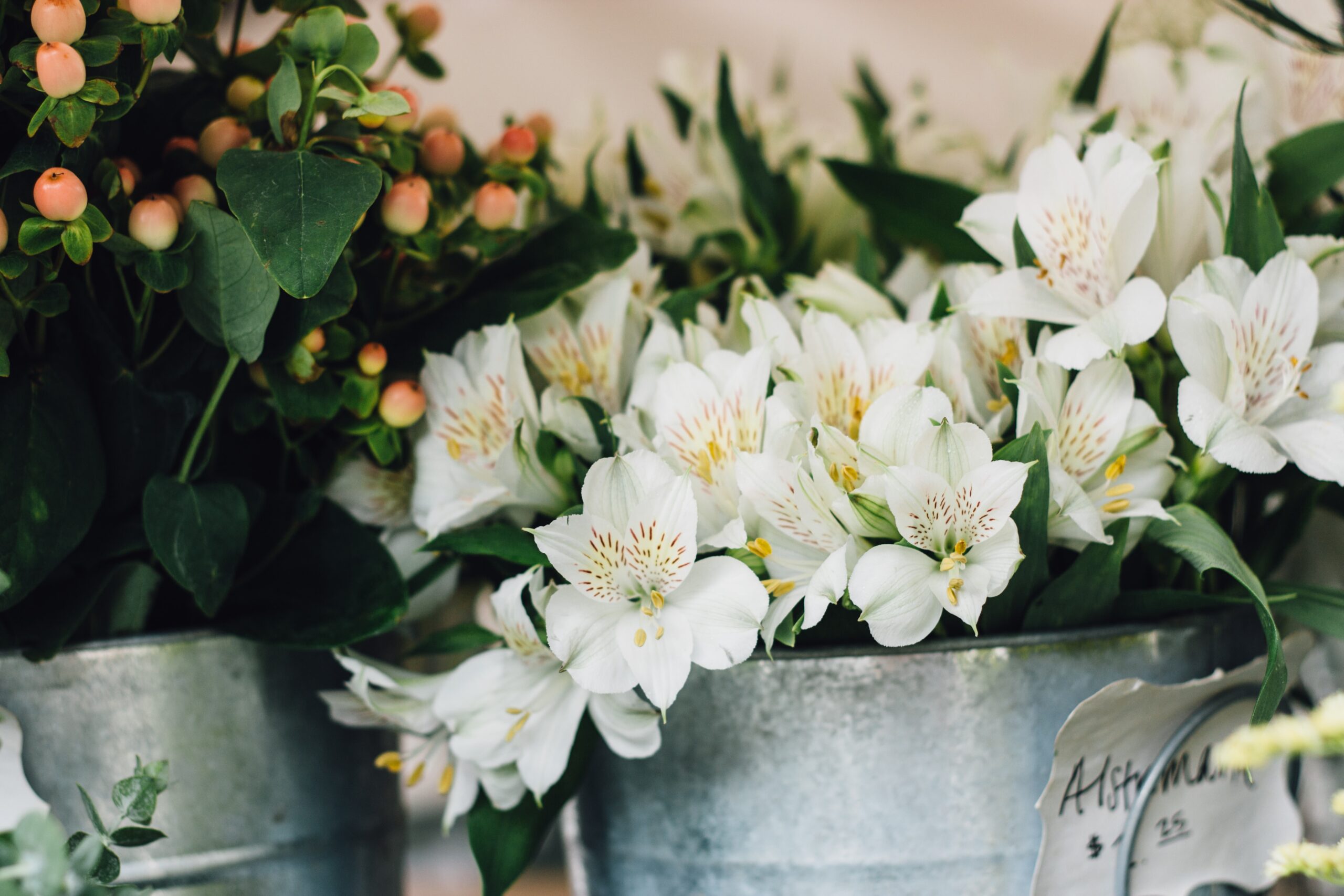 Jesus’ Final Week: Monday