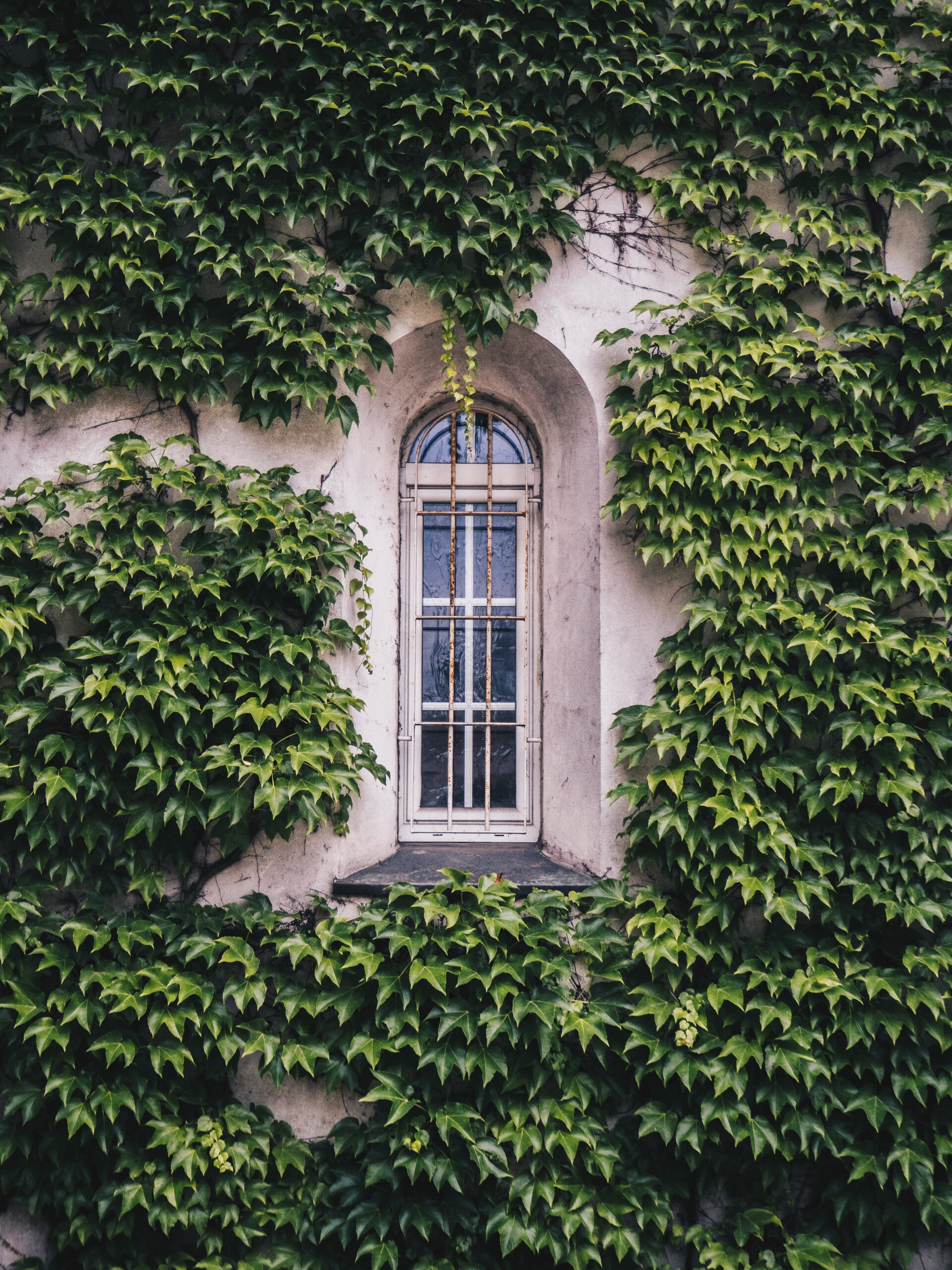 Session 5: Robbing God