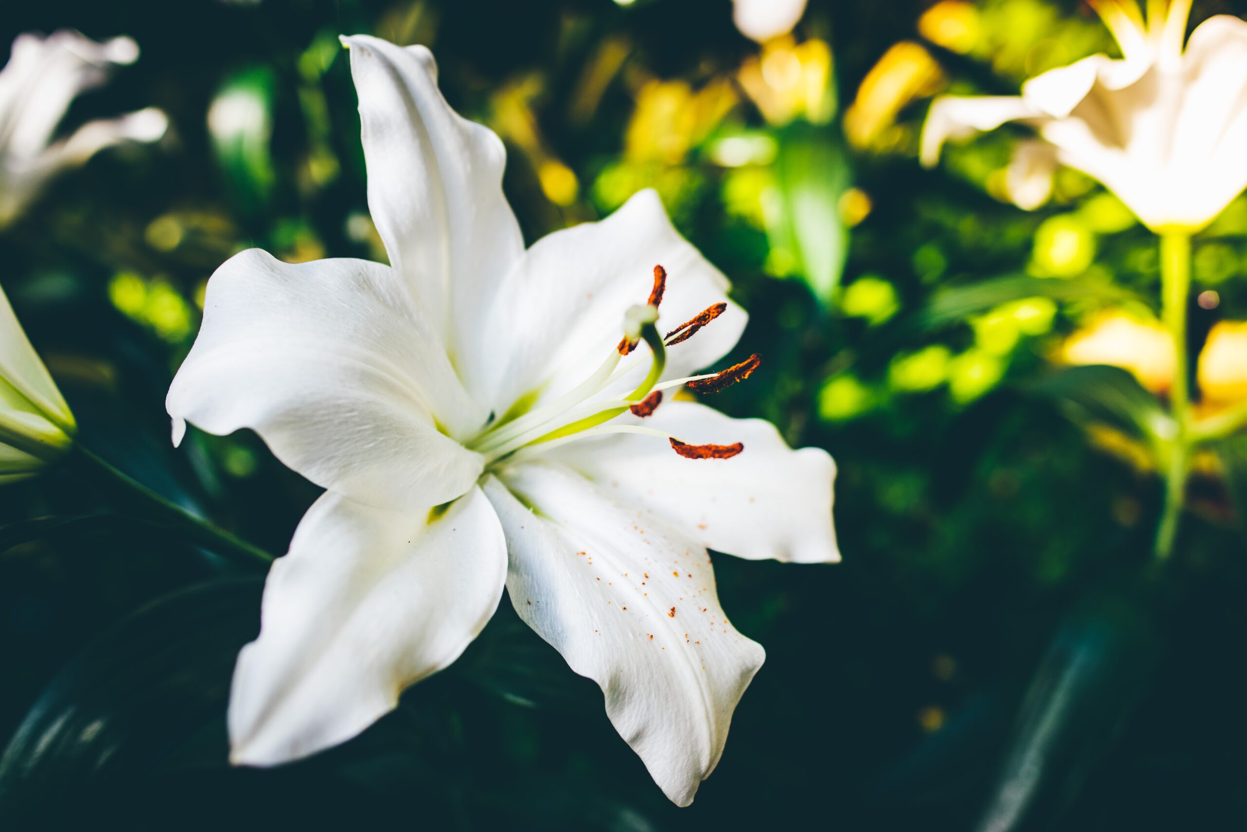 Jesus’ Final Week: Tuesday