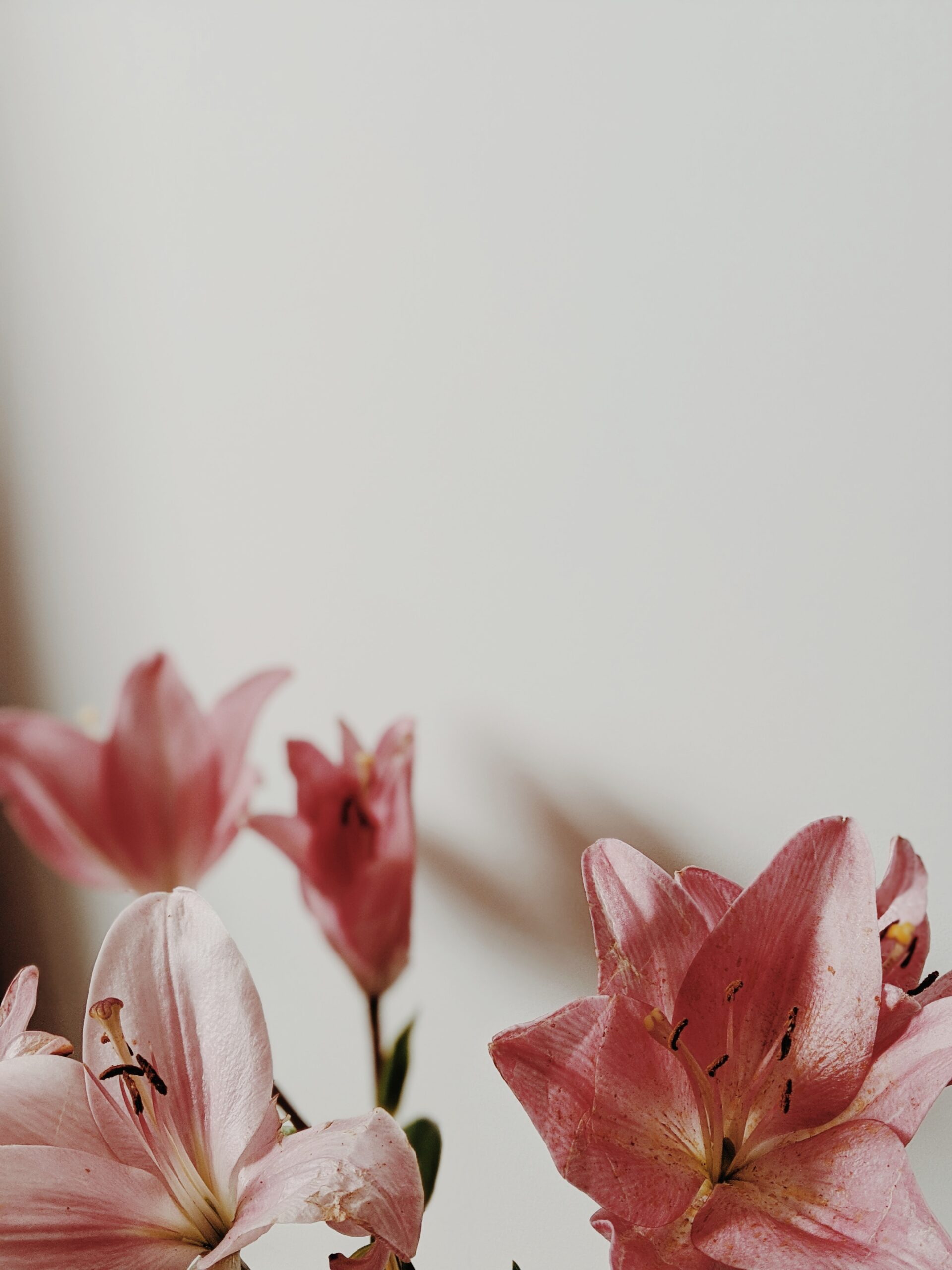 Jesus’ Final Week: Friday
