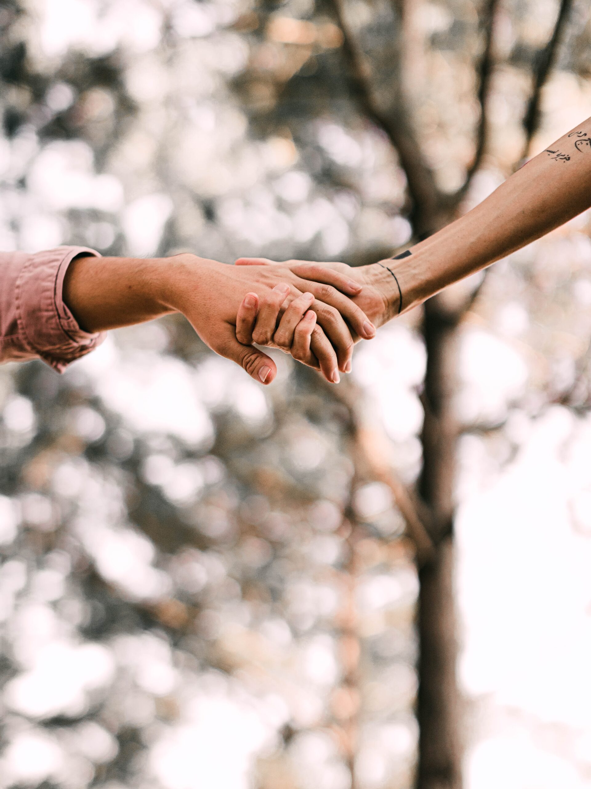 A House Built On Love: Session Five – The Disciples Shared Everything They Had