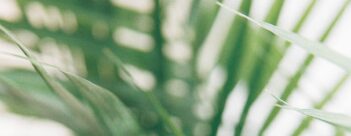 Creation Care as a Gospel Issue – Session Two