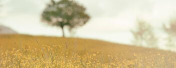 Caring for Creation One Church at a Time – Session Ten