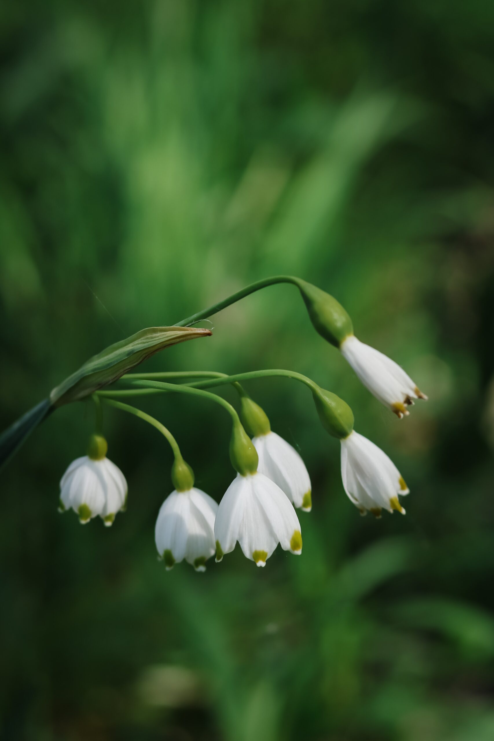 Critical Issues Facing Creation Today – Session Five