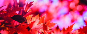Knowing the Unchanging God – Chapters One and Two