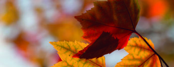 Living and Inviting Change – Chapters Seven and Eight