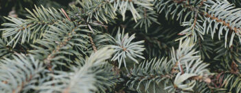 ADVENT Week Three – Tuesday