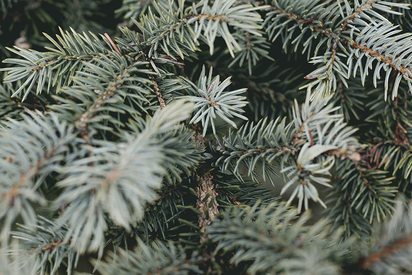 ADVENT Week Three – Tuesday