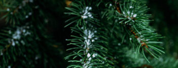 ADVENT Week Two – Tuesday