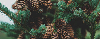 ADVENT Week Two – Wednesday