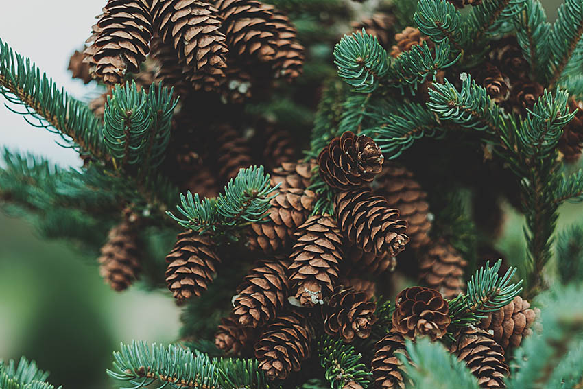 ADVENT Week Two – Wednesday