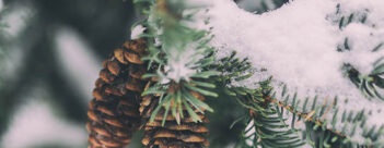 ADVENT Week Two – Thursday