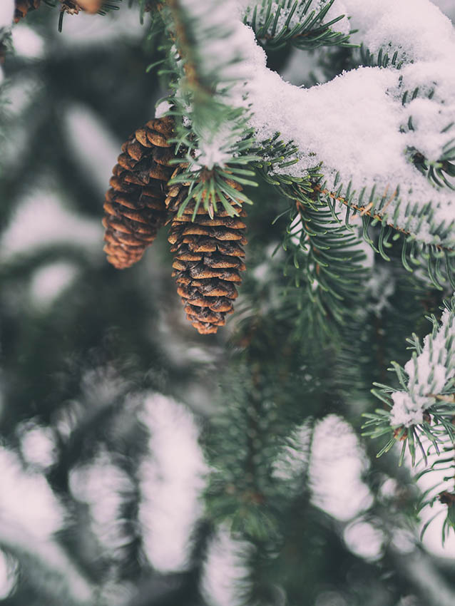 ADVENT Week Two – Thursday
