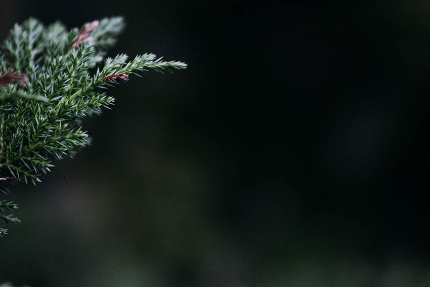ADVENT Week Two – Saturday