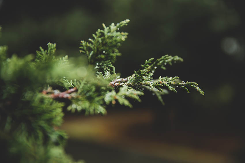 ADVENT Week Three – Monday
