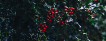 ADVENT Week Three – Wednesday