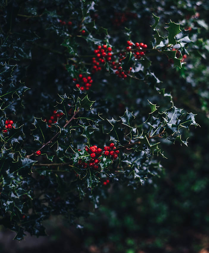ADVENT Week Three – Wednesday