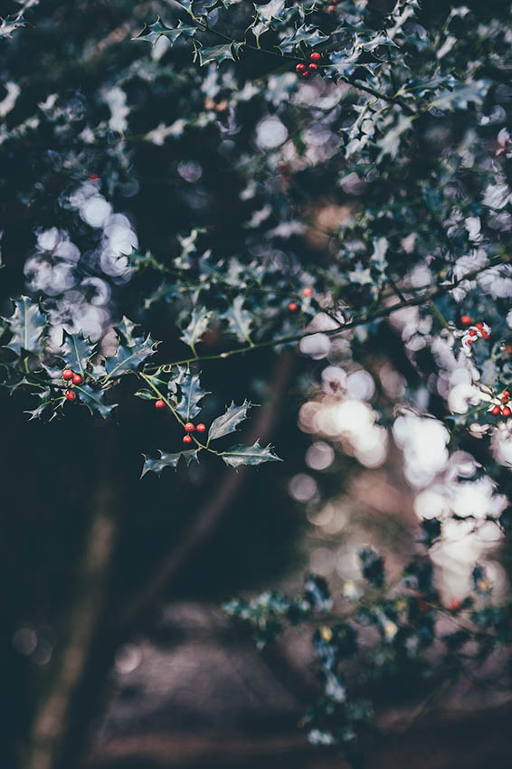 ADVENT Week Three – Thursday