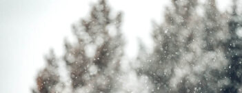 ADVENT Week Three – Friday