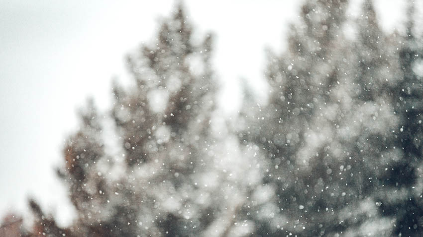 ADVENT Week Three – Friday