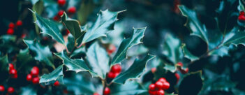 ADVENT Week Four: A Time for Celebration – Fourth Sunday of Advent