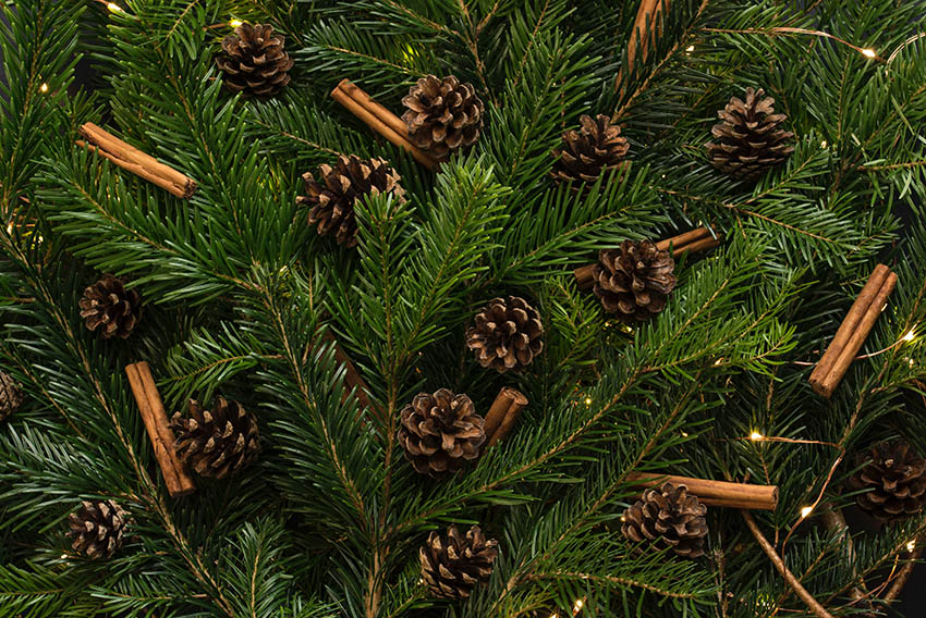 ADVENT Week One – Tuesday
