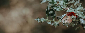 ADVENT Week One – Friday