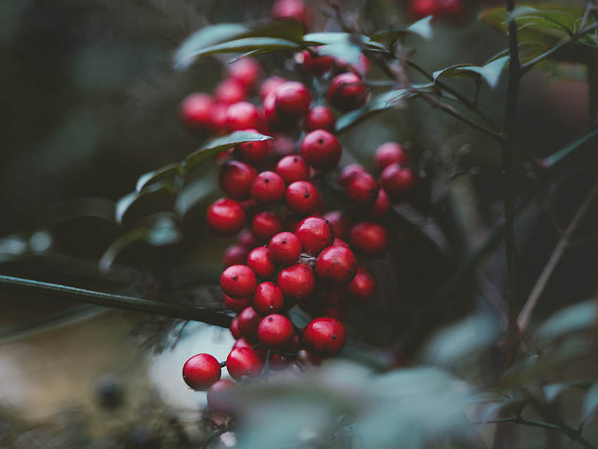 ADVENT Week One – Saturday